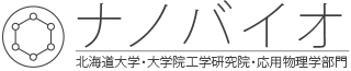 ナノバイオ工学研究室 Logo