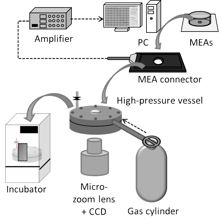 MEAを用いたガス加圧システム